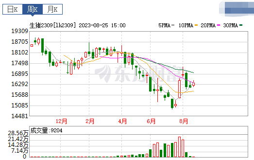 2023.08.27今日猪价
