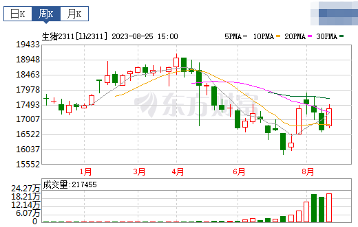2023.08.27今日猪价