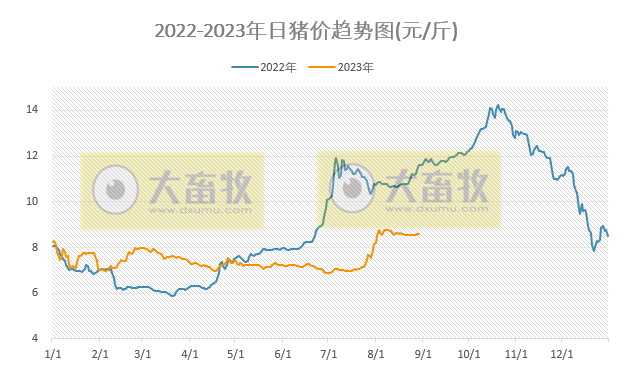 2023.08.29今日猪价