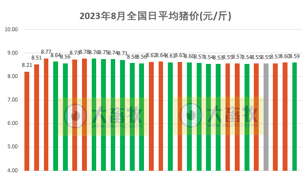2023.08.29今日猪价