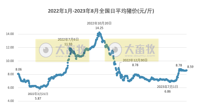 2023.08.29今日猪价