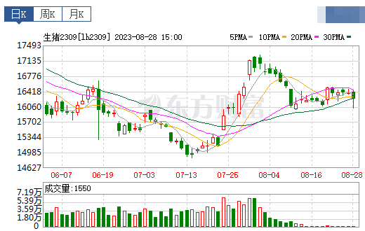 2023.08.29今日猪价