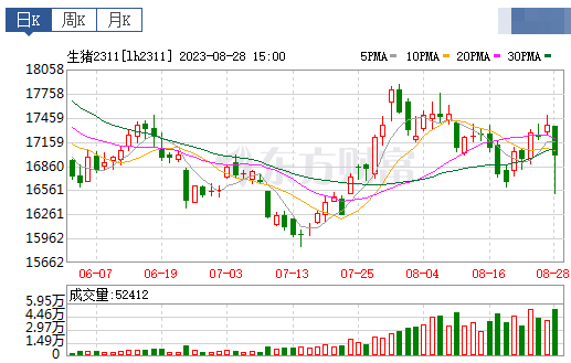 2023.08.29今日猪价