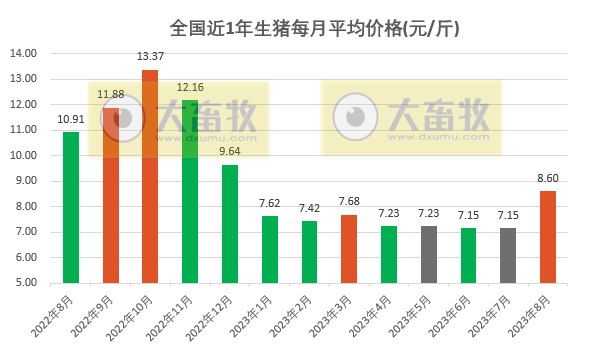 2023.08.31今日猪价