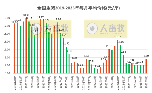 2023.08.31今日猪价
