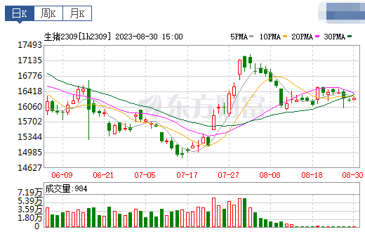 2023.08.31今日猪价