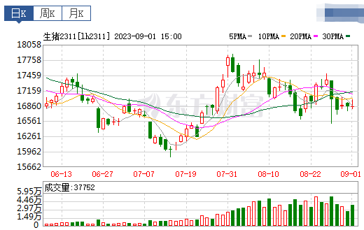 2023.09.02今日猪价