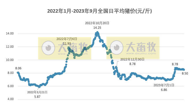 2023.09.03今日猪价