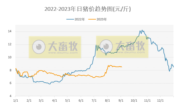 2023.09.03今日猪价