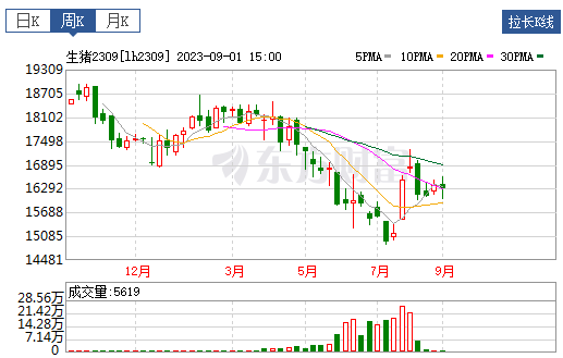 2023.09.03今日猪价