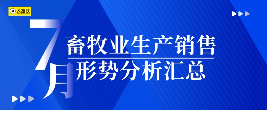 【畜牧业月报】2025年7月畜牧业生产销售形势分析汇总