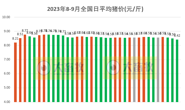 2023.09.04今日猪价