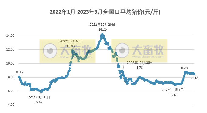 2023.09.04今日猪价