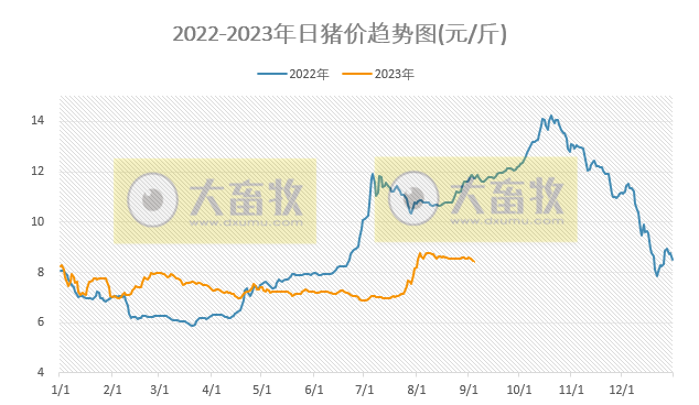 2023.09.04今日猪价