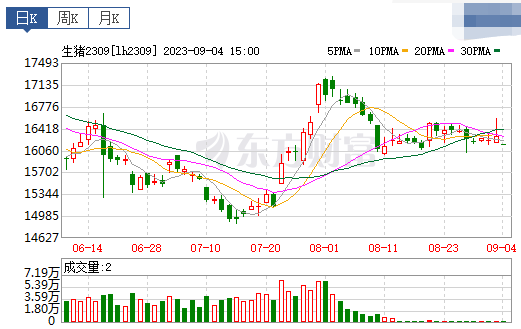 2023.09.05今日猪价