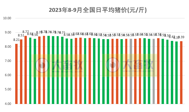 2023.09.06今日猪价
