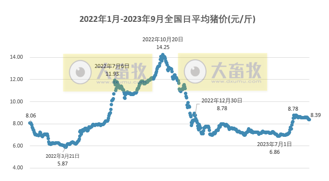 2023.09.06今日猪价