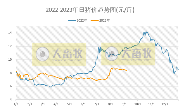 2023.09.06今日猪价