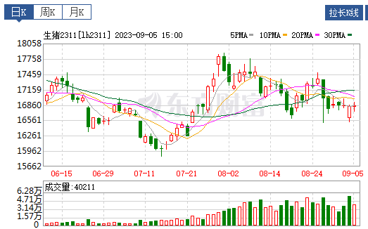 2023.09.06今日猪价