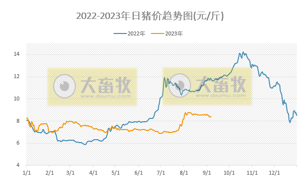 2023.09.07今日猪价