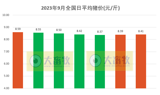2023.09.07今日猪价