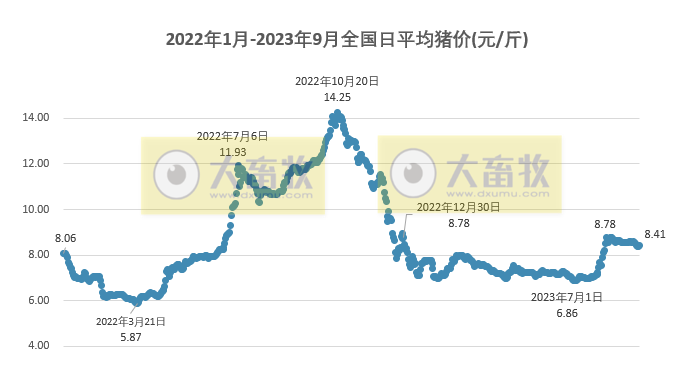 2023.09.07今日猪价