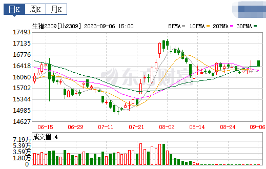 2023.09.07今日猪价