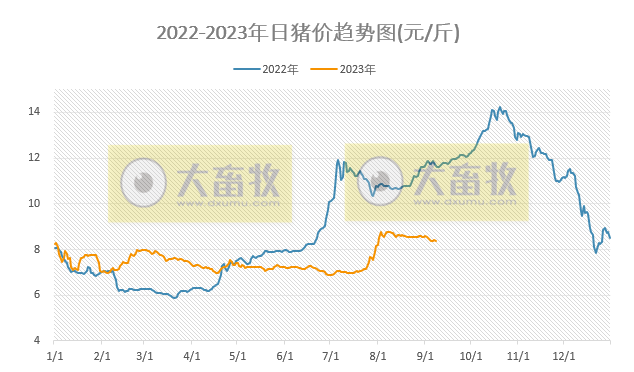 2023.09.08今日猪价