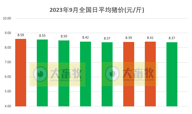 2023.09.08今日猪价