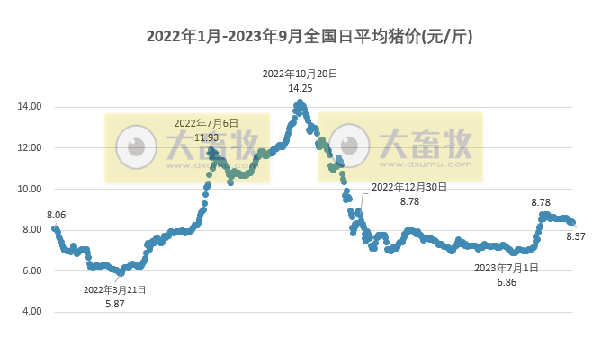 2023.09.08今日猪价
