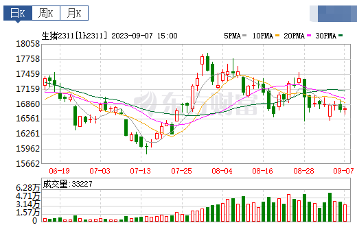 2023.09.08今日猪价