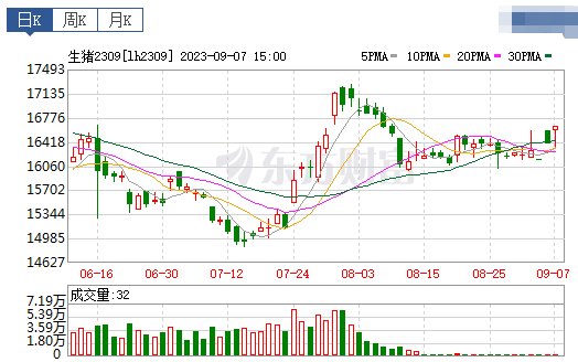2023.09.08今日猪价
