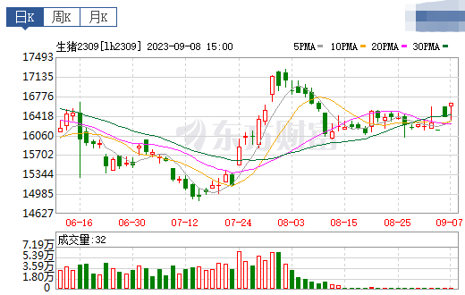 2023.09.09今日猪价