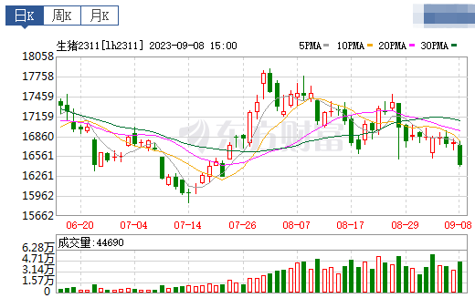 2023.09.09今日猪价