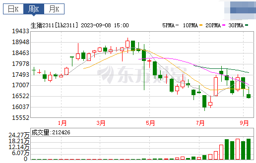 2023.09.10今日猪价