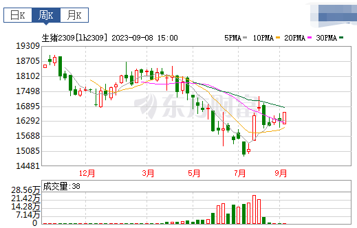 2023.09.10今日猪价