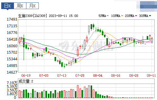 2023.09.12今日猪价