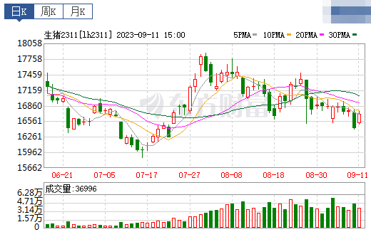 2023.09.12今日猪价