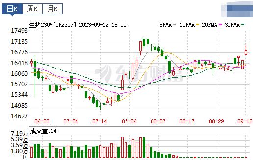 2023.09.13今日猪价