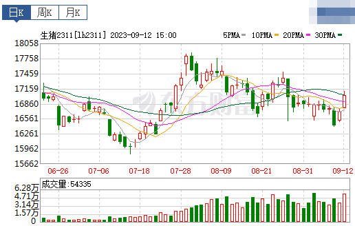 2023.09.13今日猪价