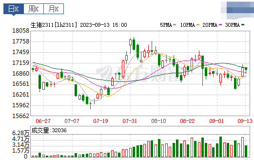 2023.09.14今日猪价