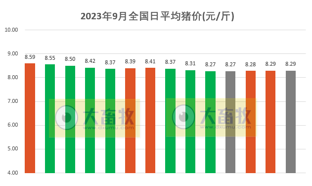 2023.09.14今日猪价