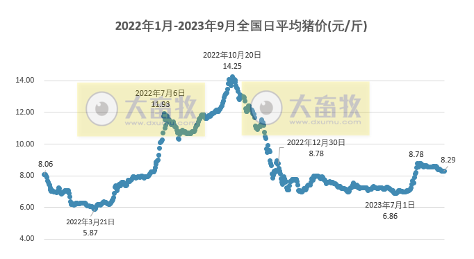 2023.09.14今日猪价