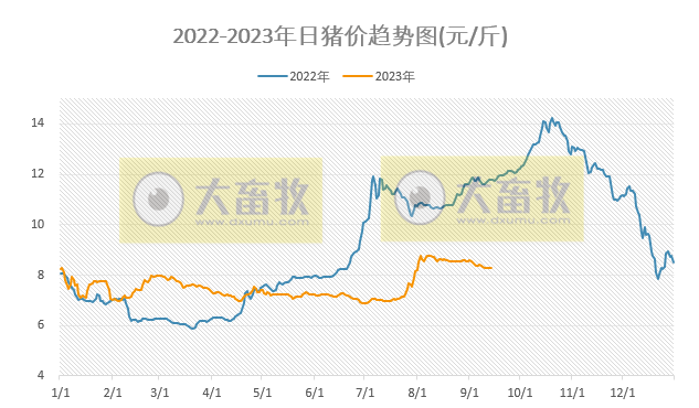 2023.09.14今日猪价