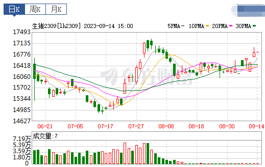 2023.09.15今日猪价