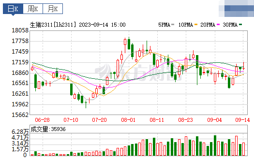 2023.09.15今日猪价