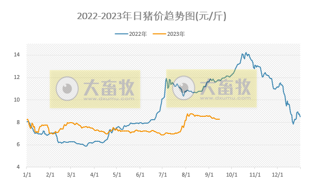 2023.09.15今日猪价
