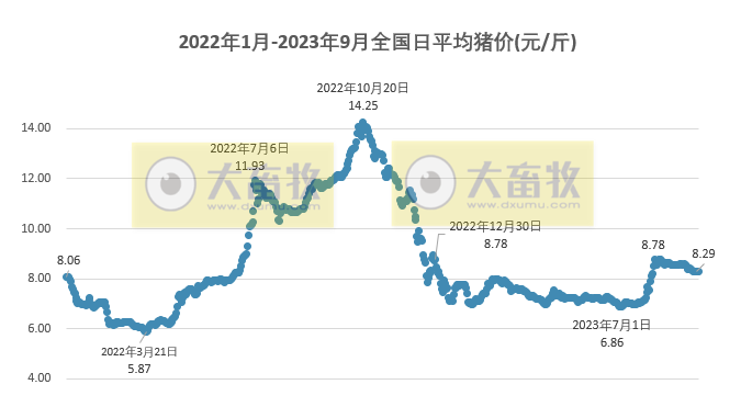 2023.09.15今日猪价