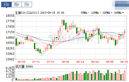 2023.09.16今日猪价