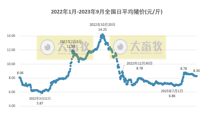 2023.09.16今日猪价